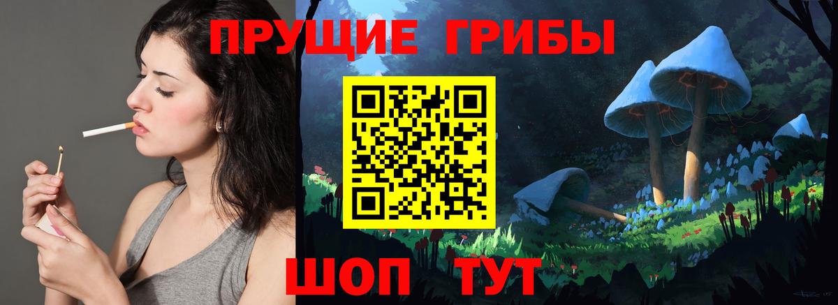 Псилоцибиновые грибы GOLDEN TEACHER Мыски